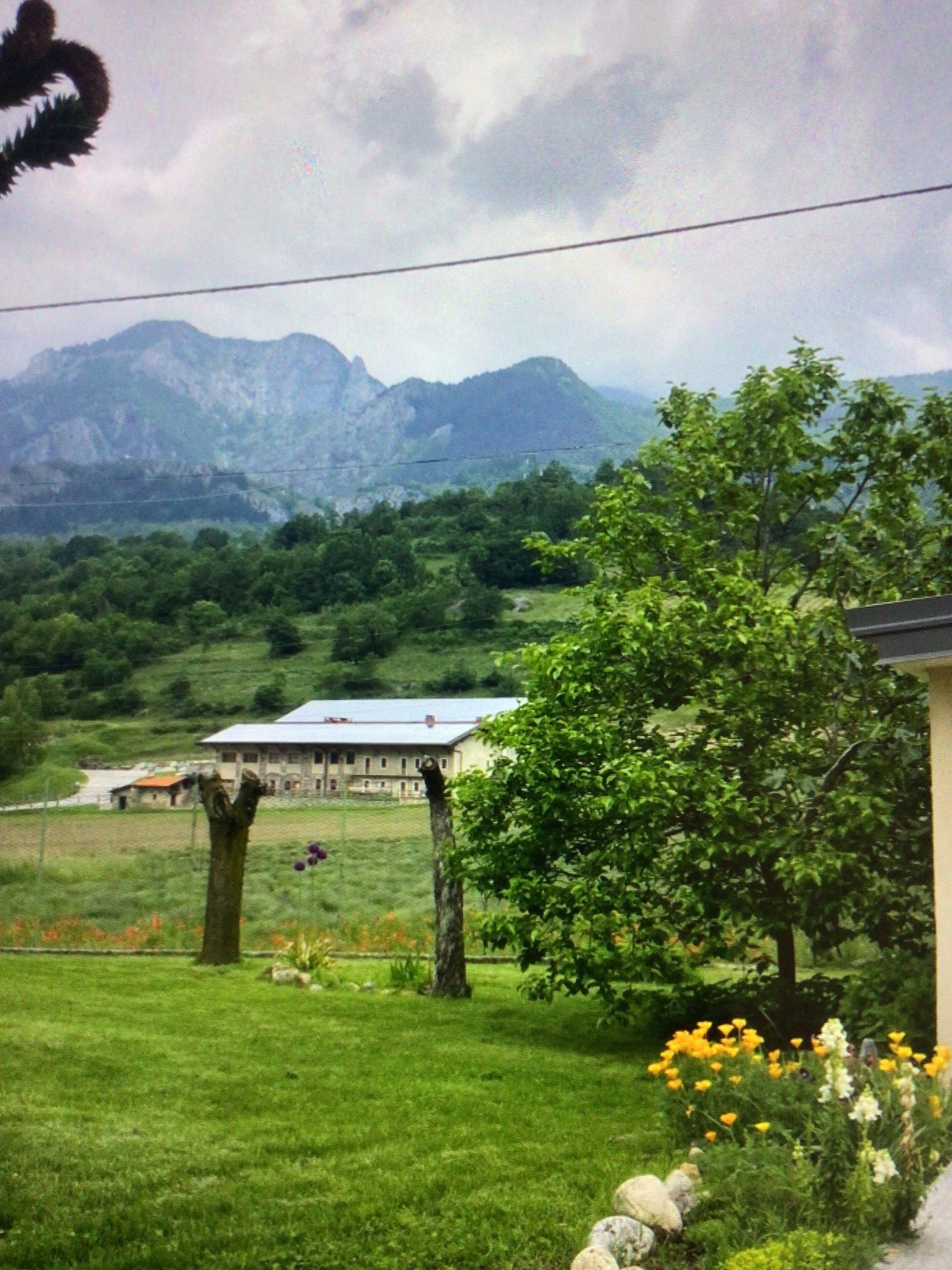 prato/campo in montagna vista lavanda e paesaggi
