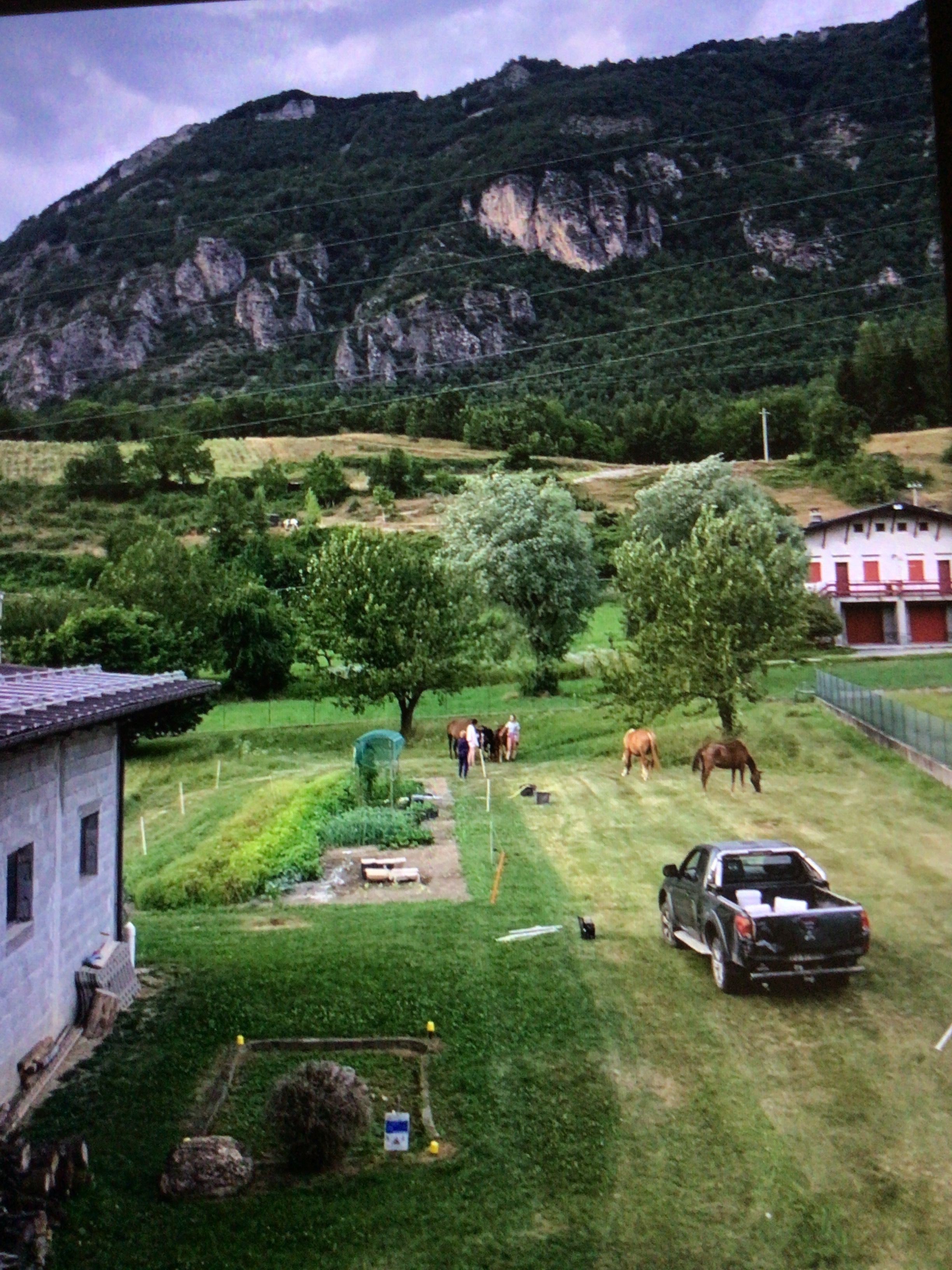 prato/campo in montagna vista lavanda e paesaggi