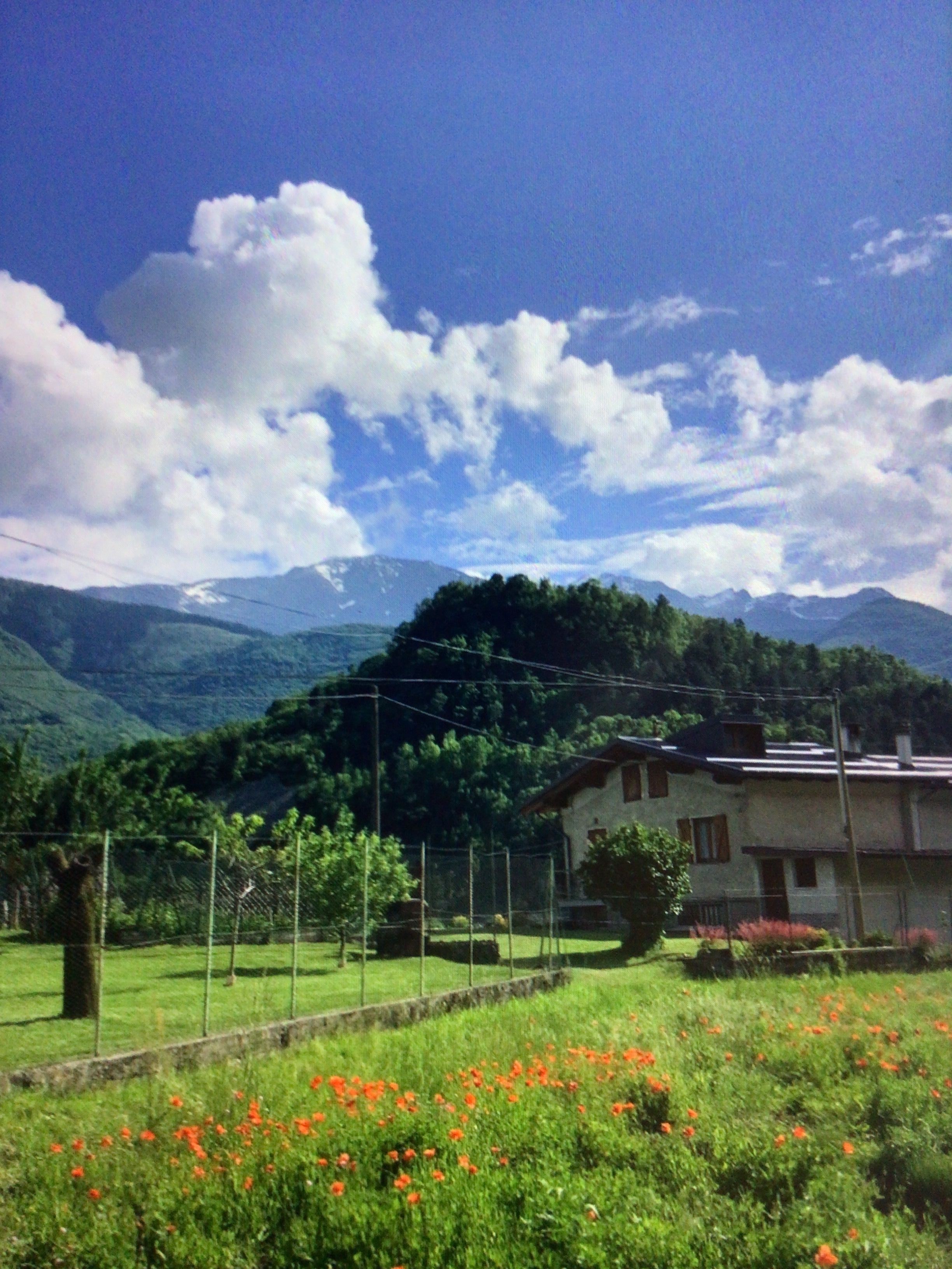 prato/campo in montagna vista lavanda e paesaggi