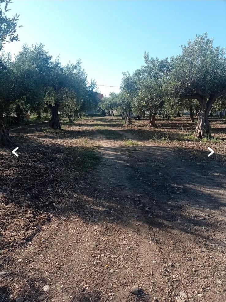 La tua sosta vicino Agrigento