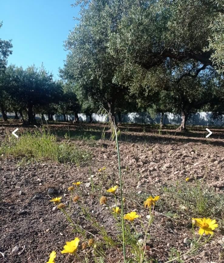La tua sosta vicino Agrigento