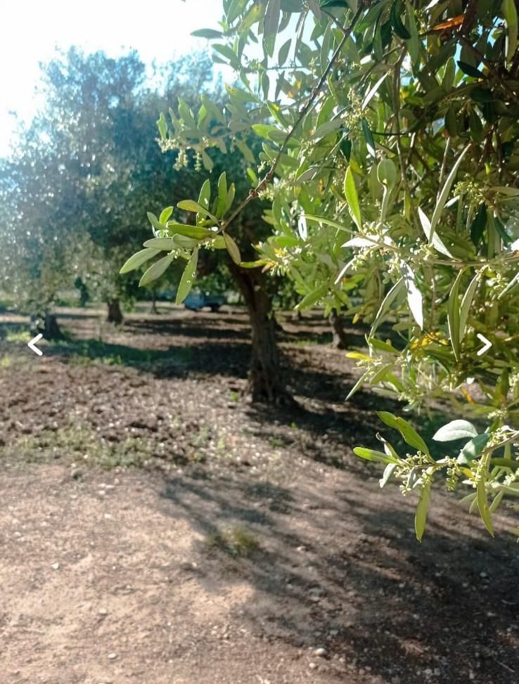La tua sosta vicino Agrigento