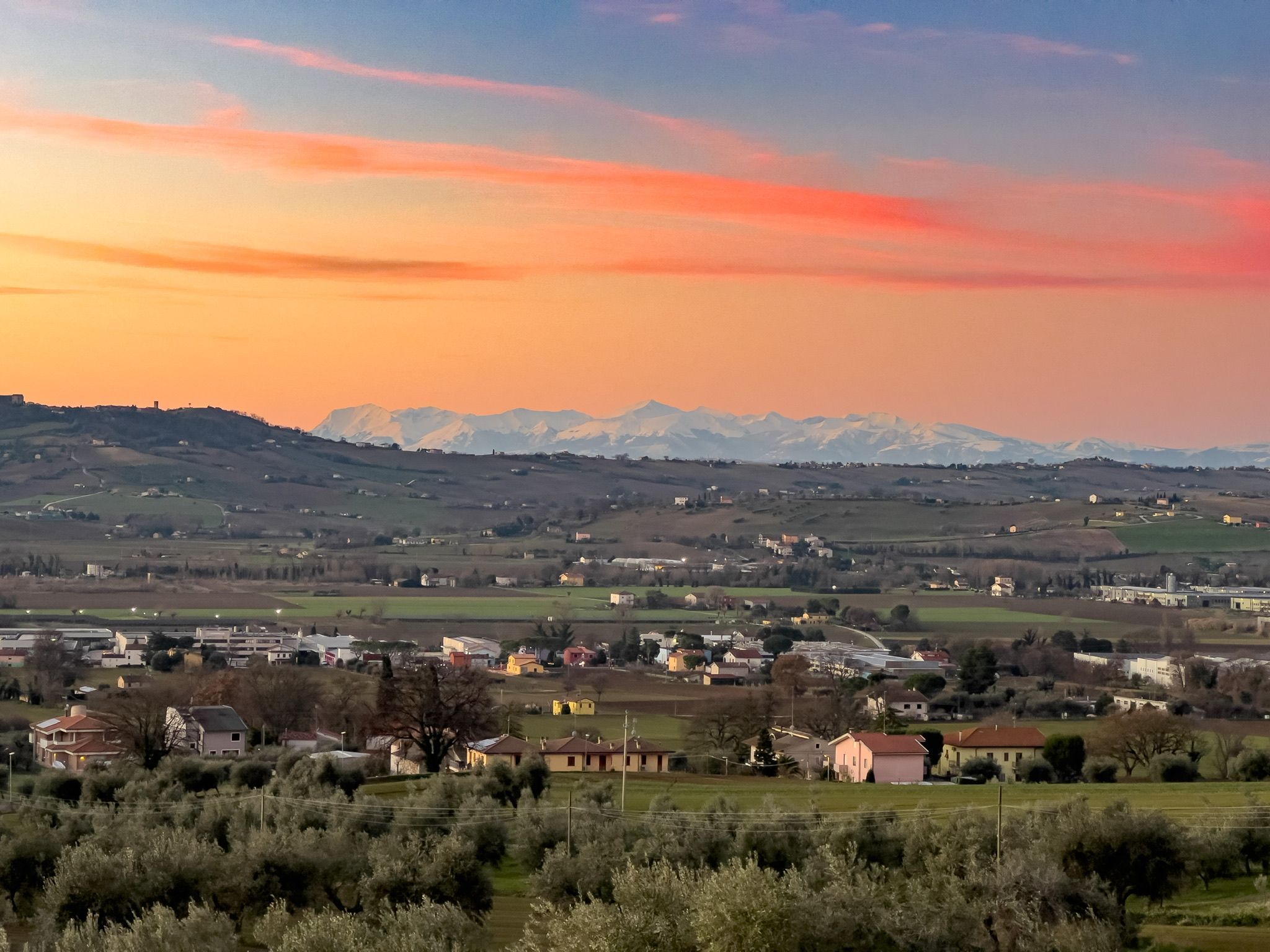 Stopover in the olive groves of Ancona