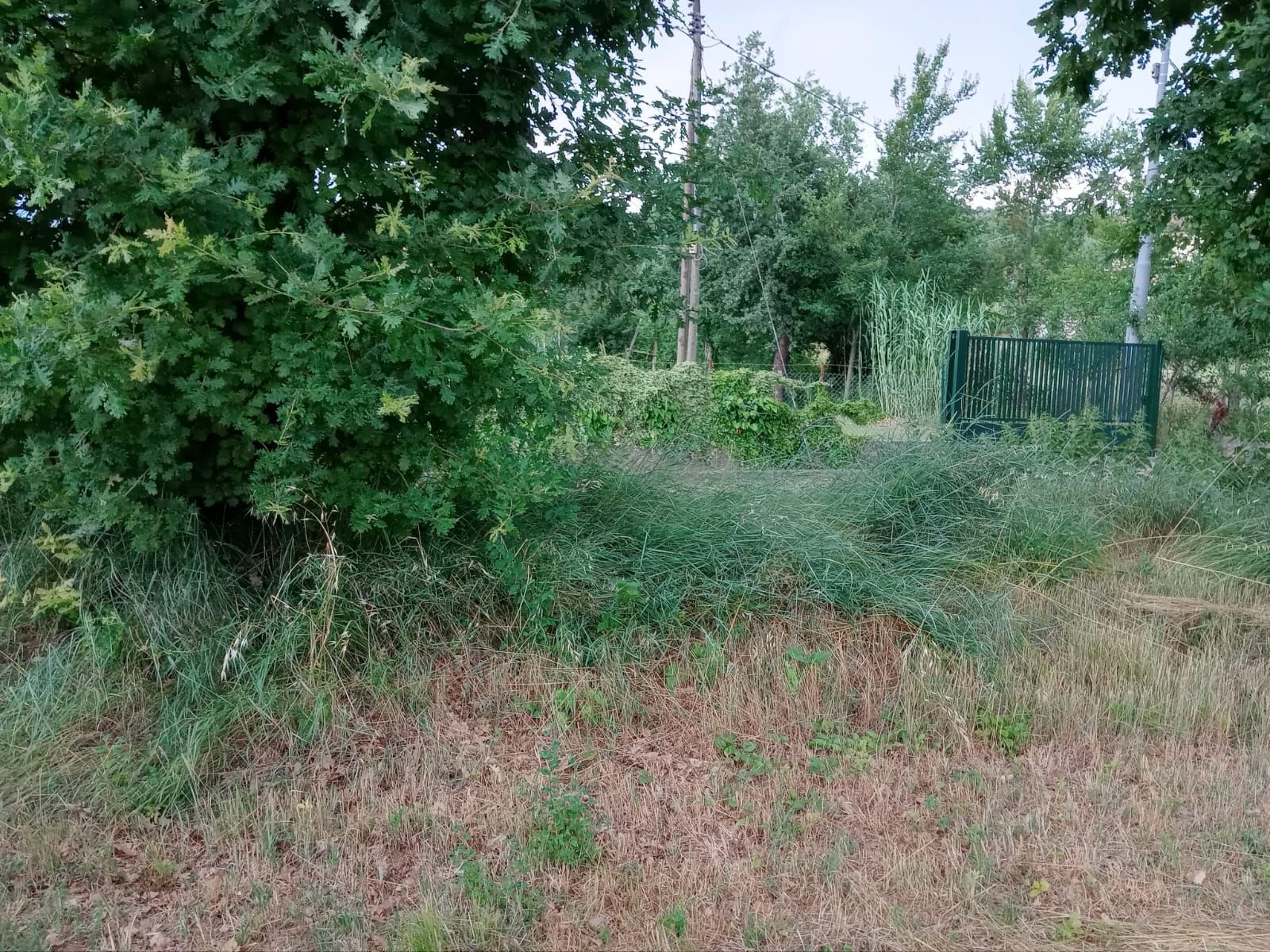 Terreno per ogni tipo di sosta nel Lazio