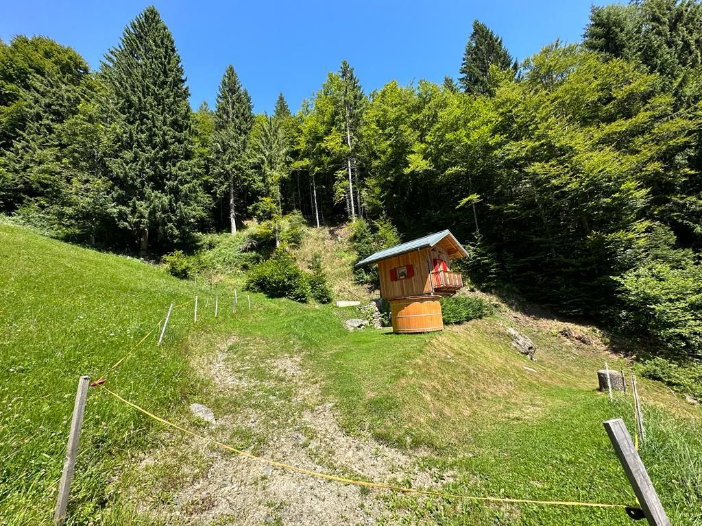 Prato sospeso nel tempo a Belluno