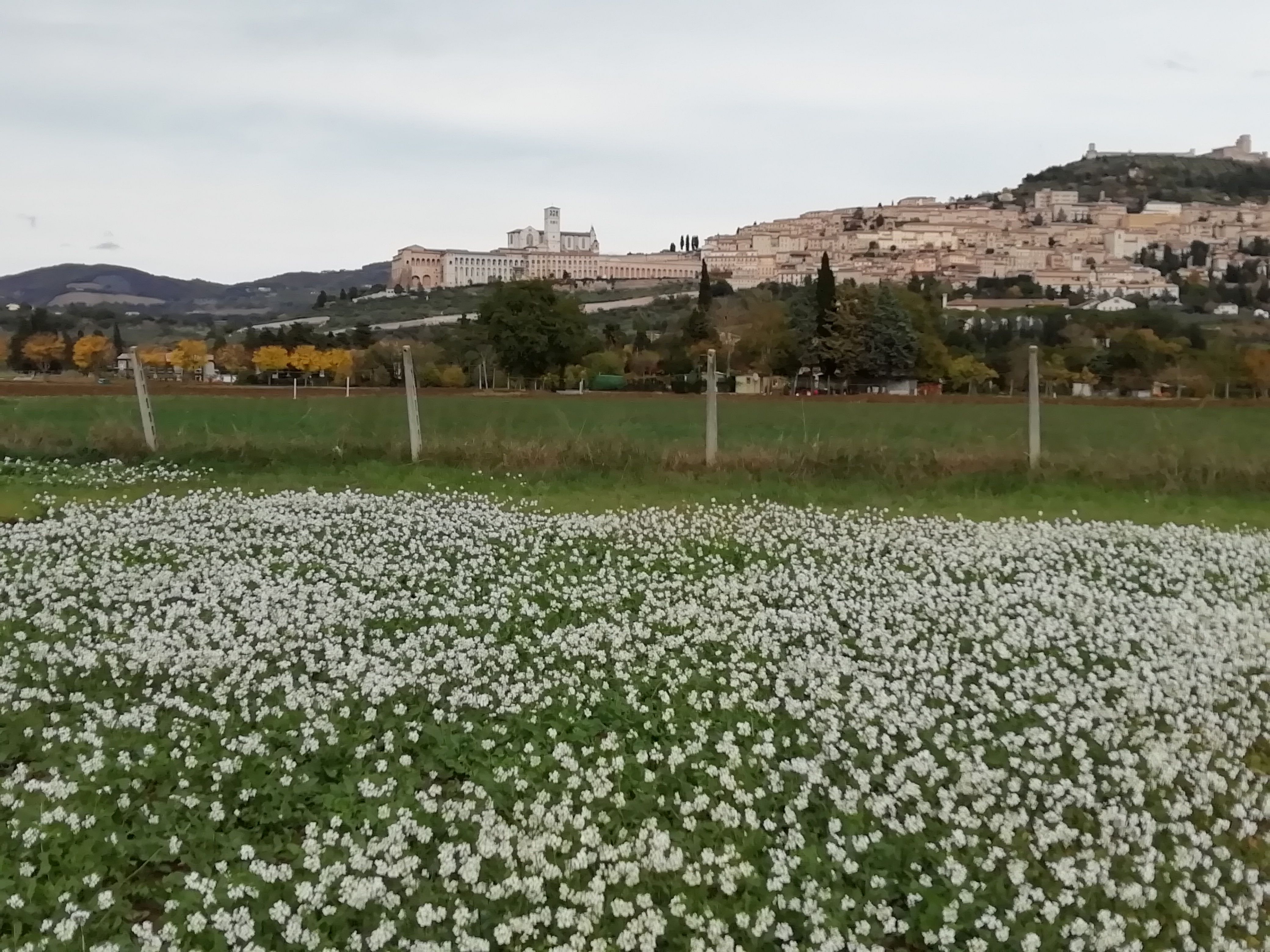 Un sogno infinito vicino ad Assisi