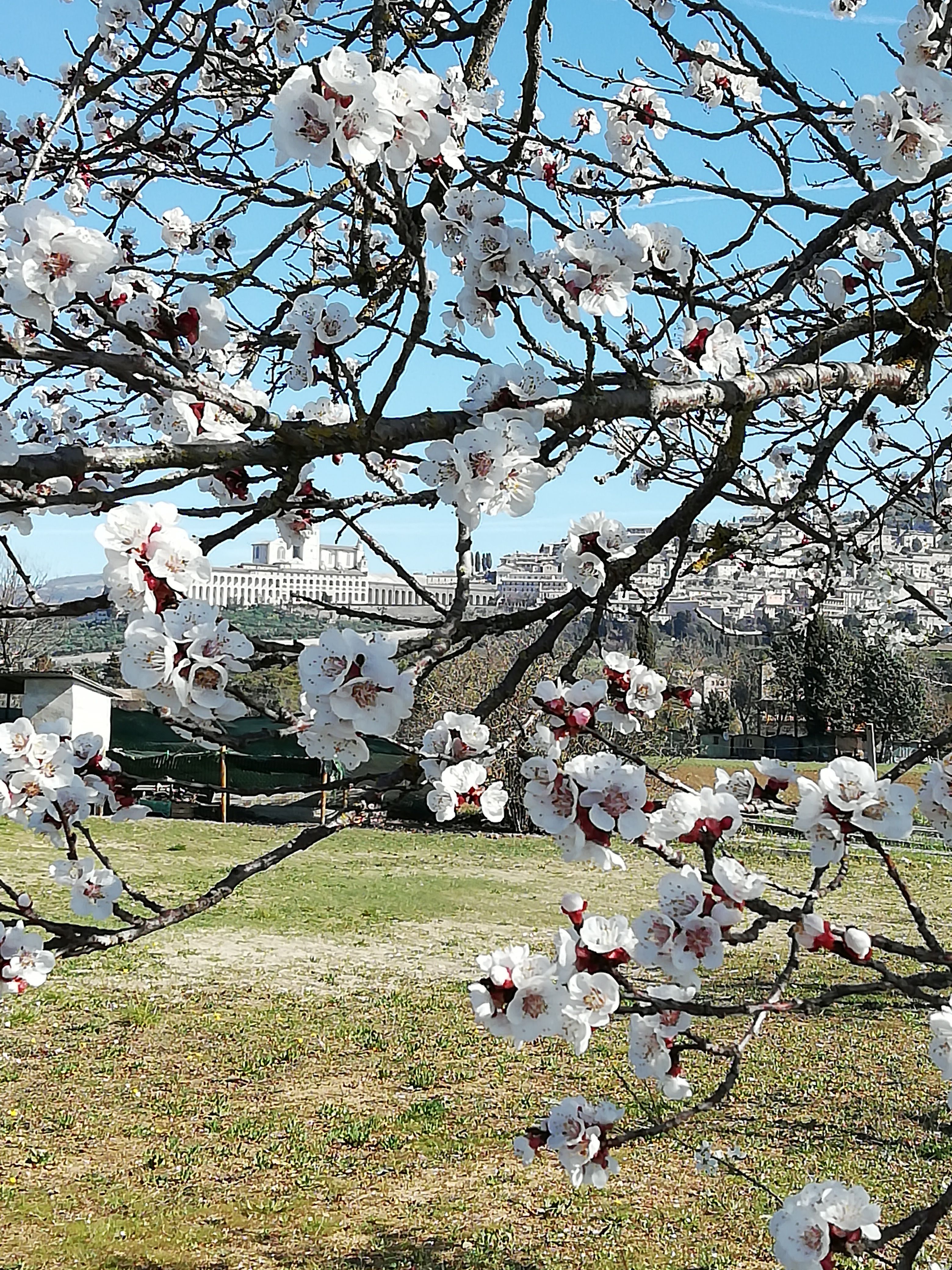 Un sogno infinito vicino ad Assisi