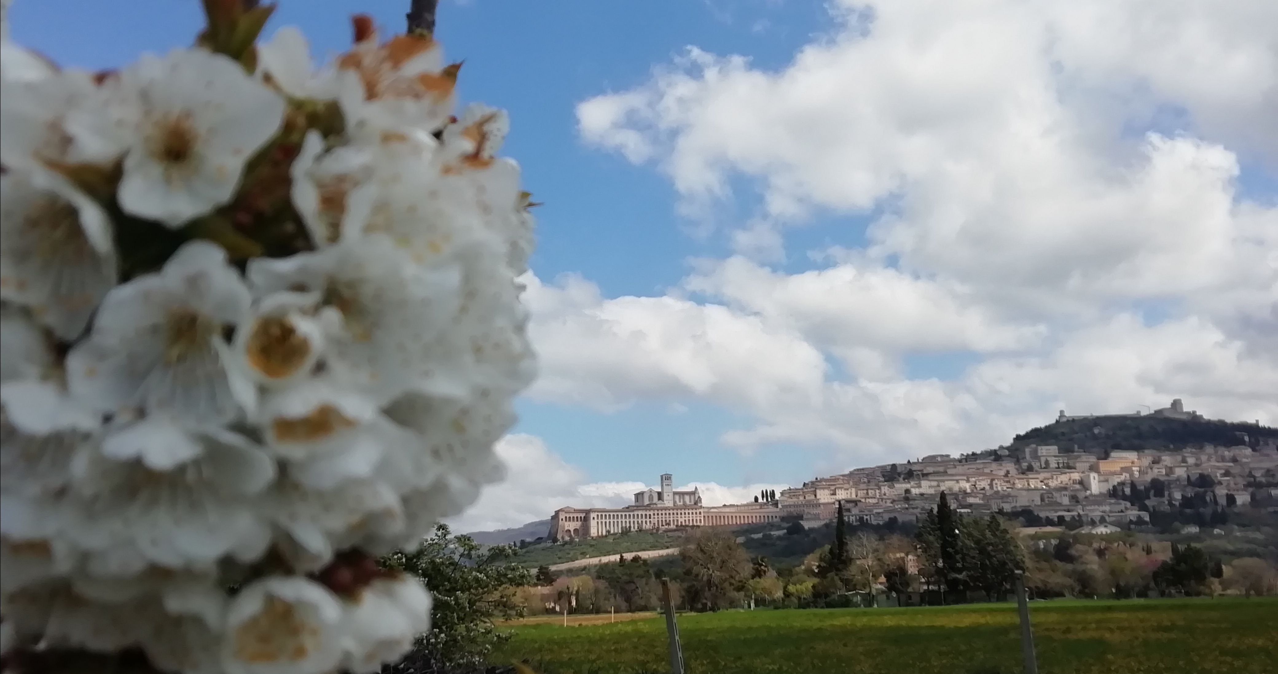 Un sogno infinito vicino ad Assisi