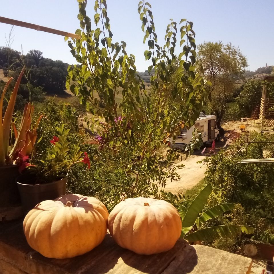 TERRENO PER TENDE E CAMPER A 1 KM DAL MARE