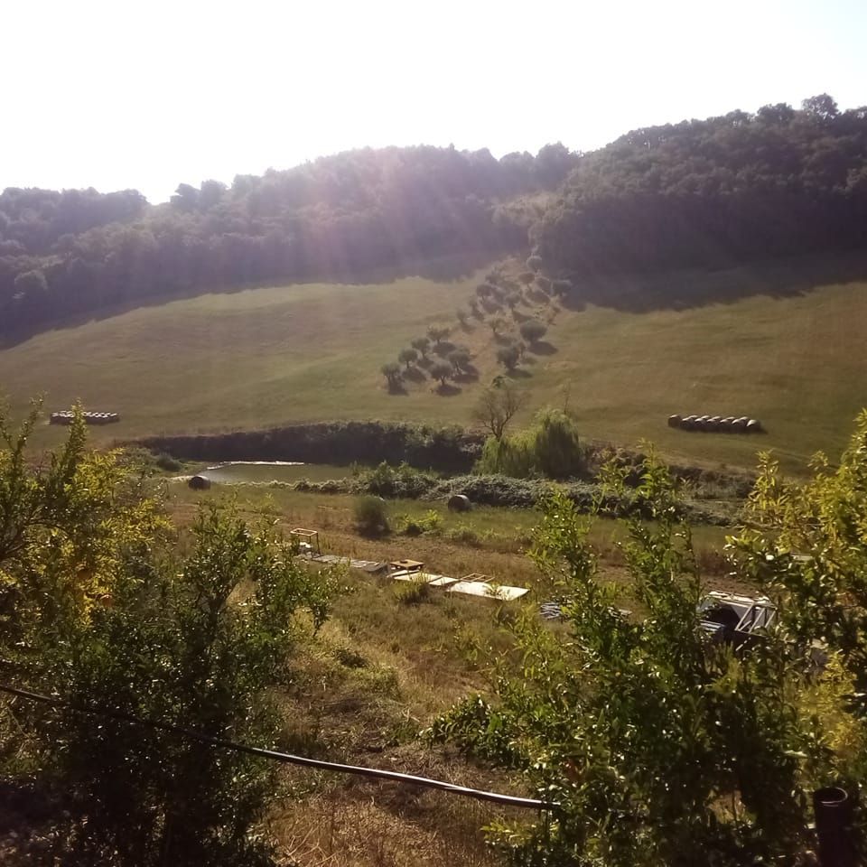 TERRENO PER TENDE E CAMPER A 1 KM DAL MARE