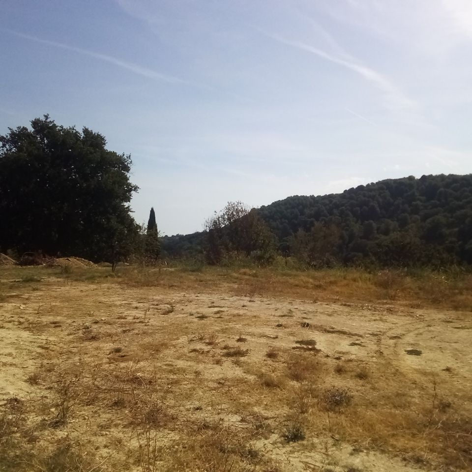 TERRENO PER TENDE E CAMPER A 1 KM DAL MARE