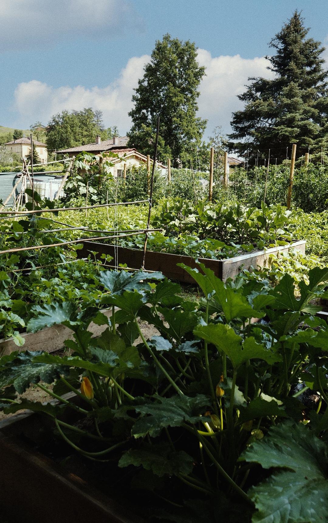 La Casa nel Parco Home Farm a Km0