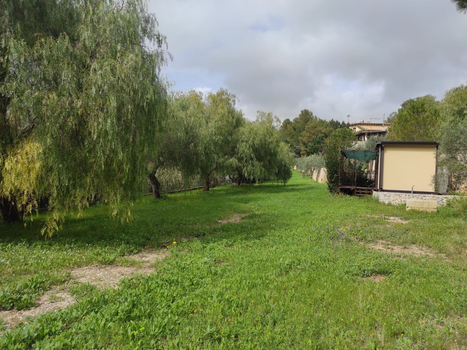 Piazzole tenda da 2 posti presso Camping Villaggio La Collinetta