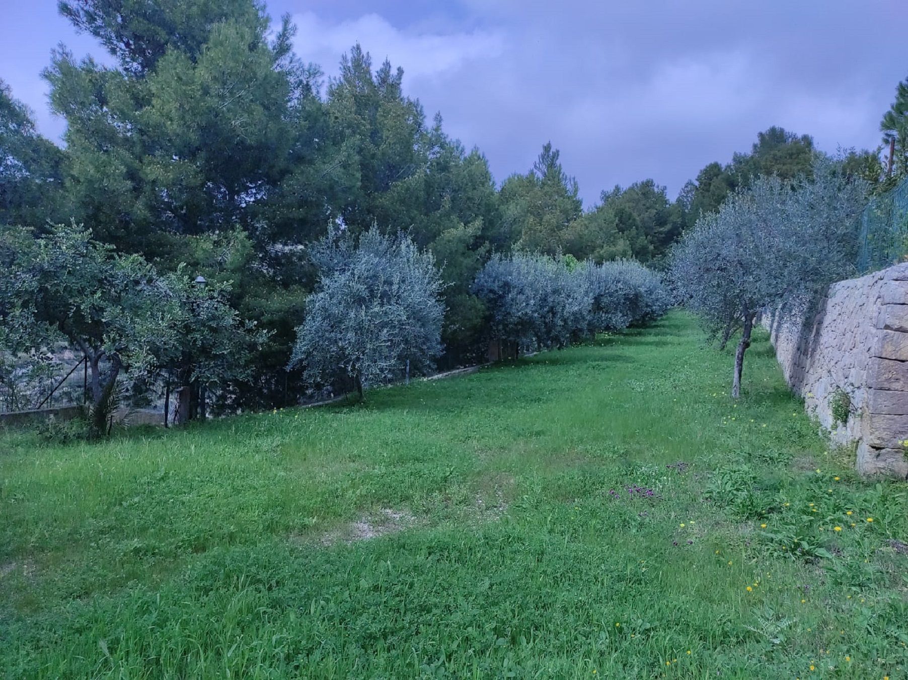 Piazzole tenda da 2 posti presso Camping Villaggio La Collinetta
