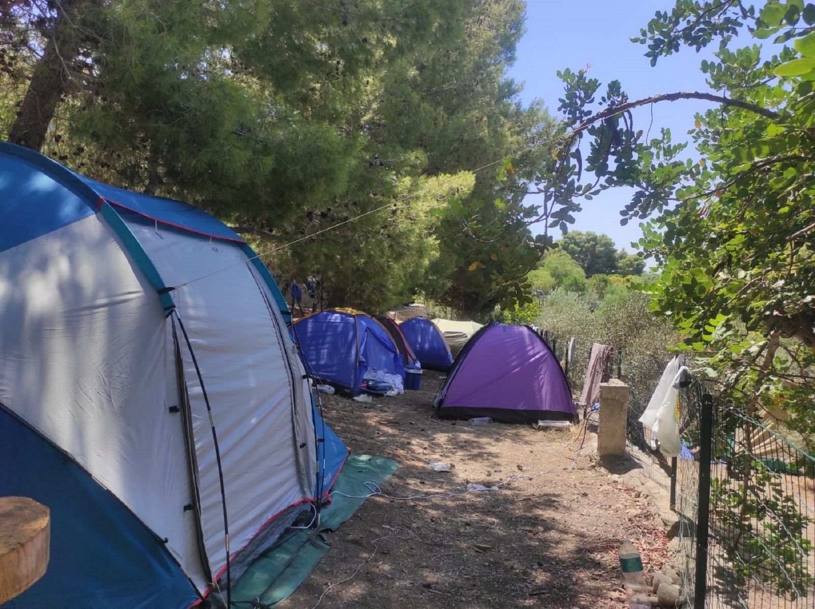 Piazzole tenda da 2 posti presso Camping Villaggio La Collinetta