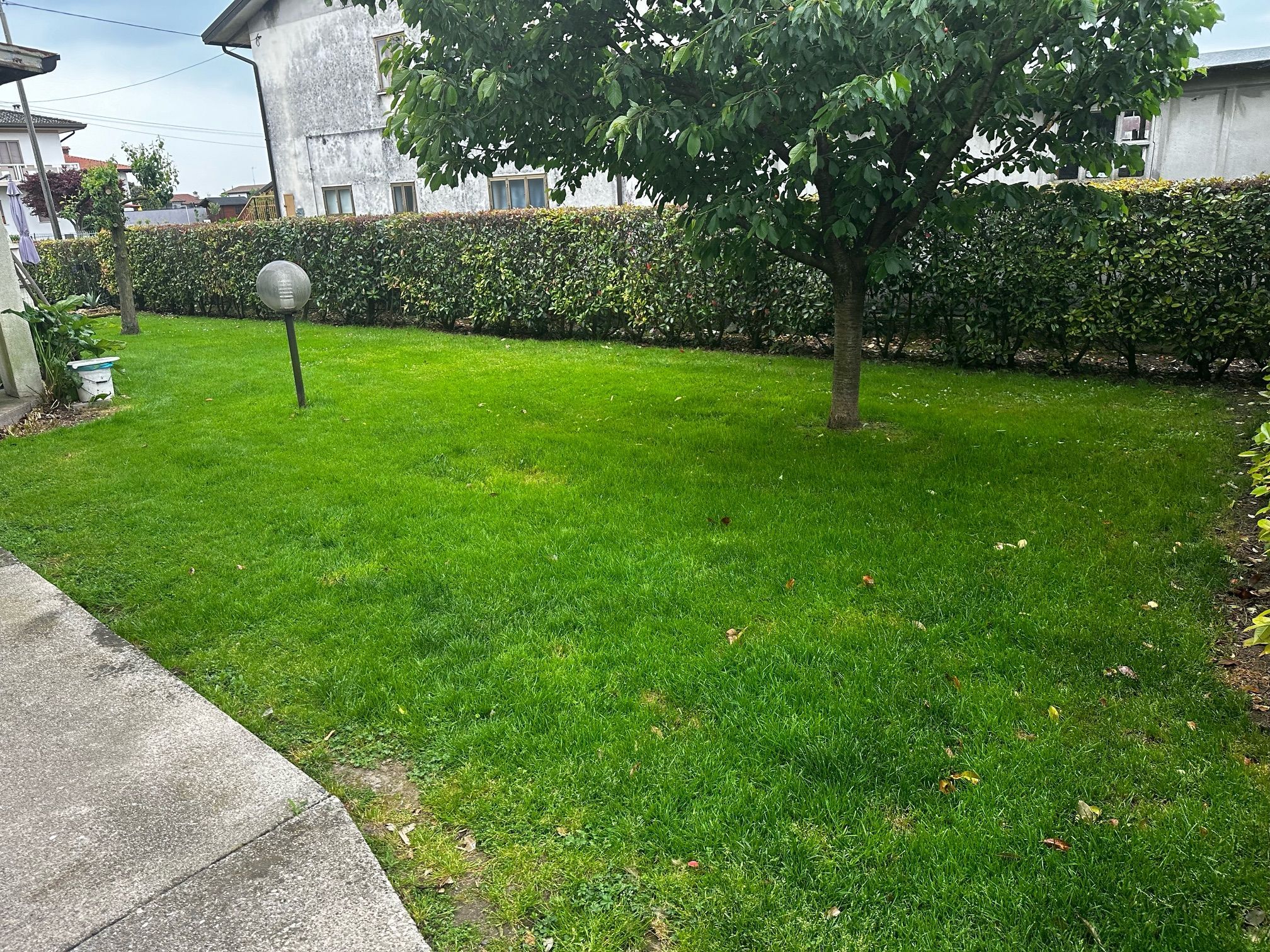 Casa di privati condivide giardino vicino Venezia