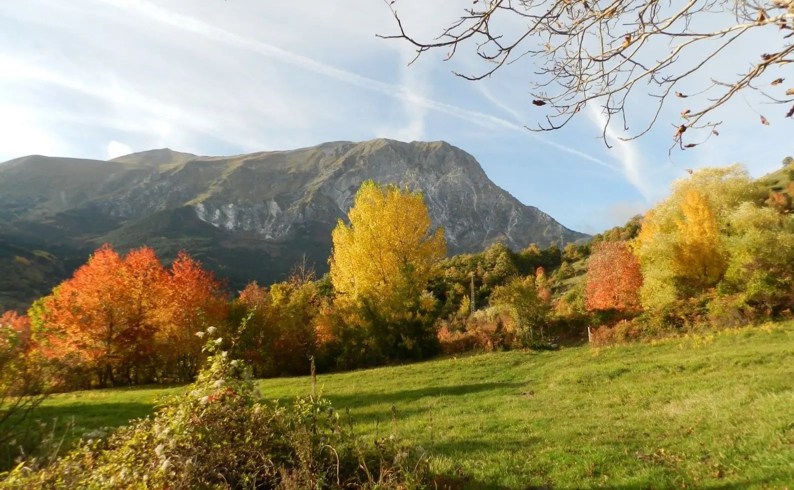Glamping Saecula: Tenda Lodge Canadienne per la tua vacanza nelle Marche