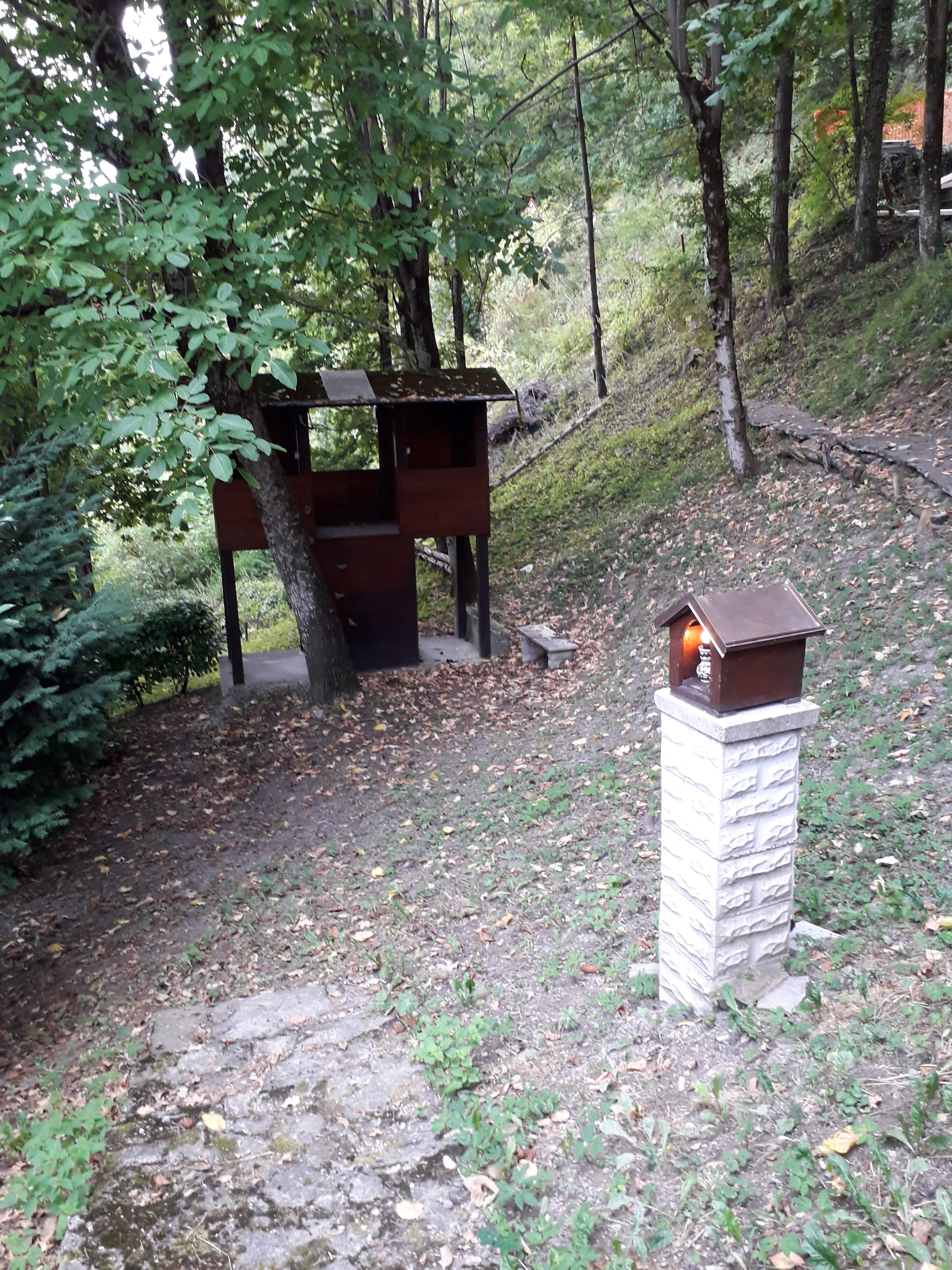 Giardino piantumato nel Modenese