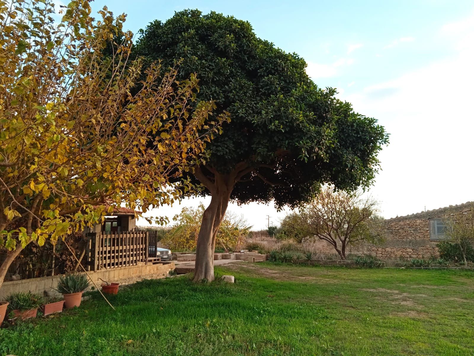 Terreno per tende nei pressi di Ragusa