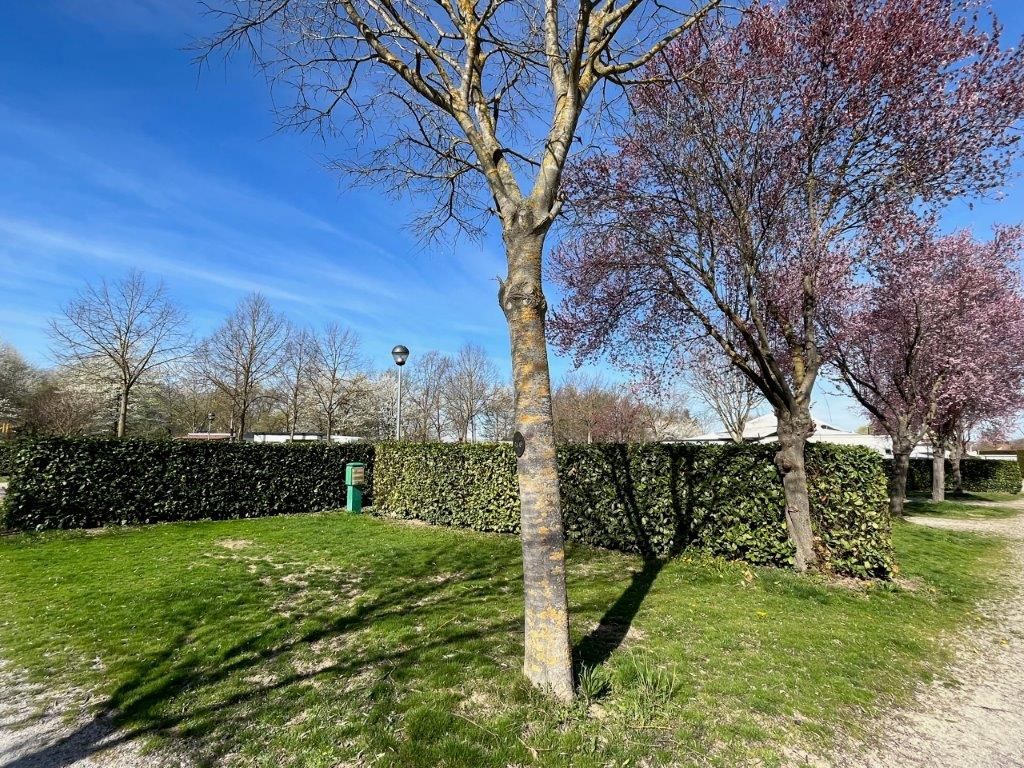 Piazzole ad Alba immerse nella natura