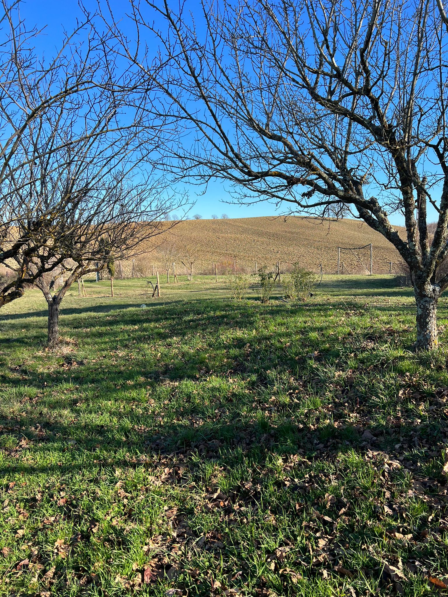 Nel Senese su di un poggio incantato ed esclusivo
