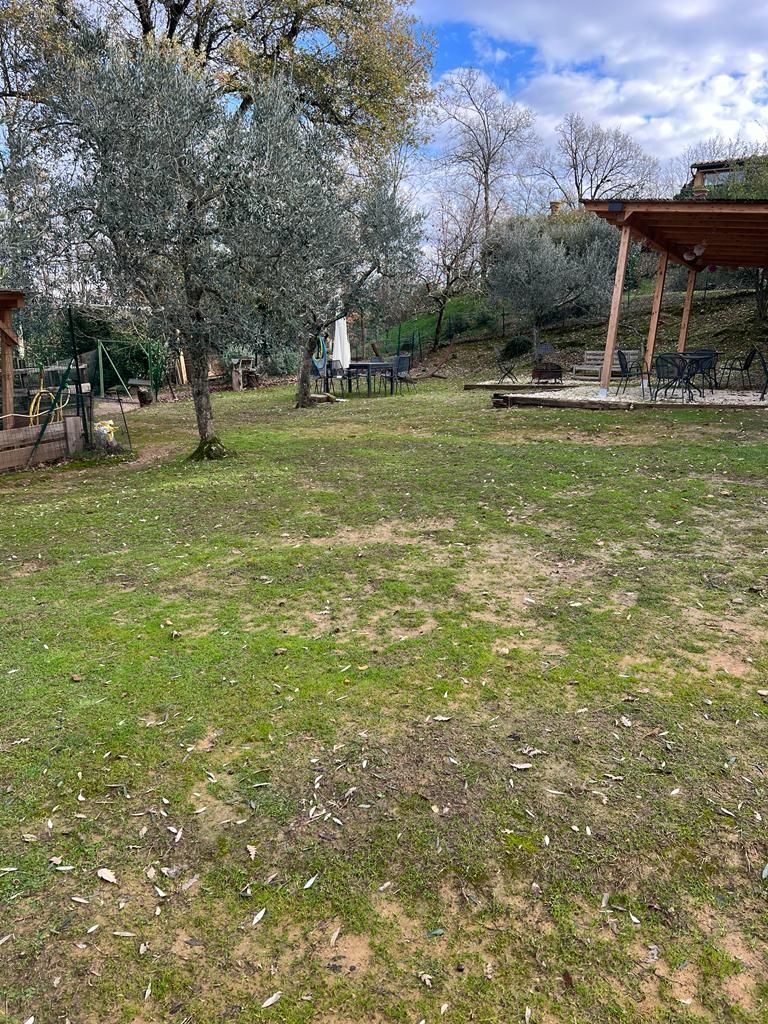 Tra Alpaca e lama, uno spazio da condividere!