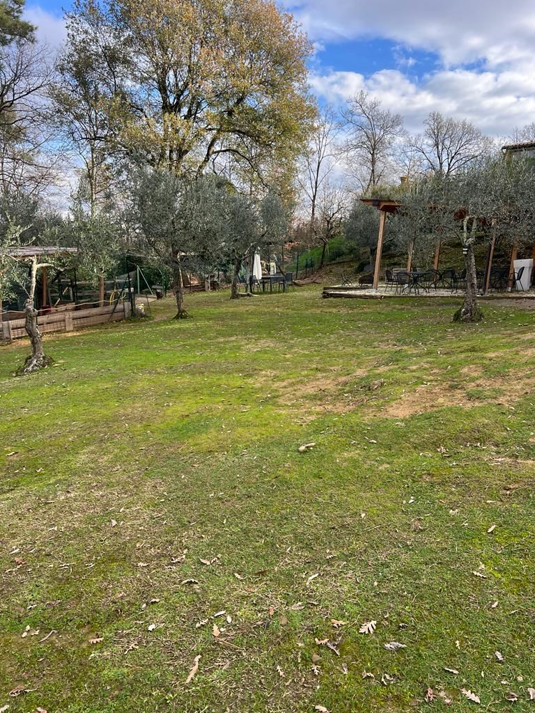 Tra Alpaca e lama, uno spazio da condividere!
