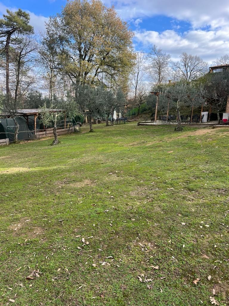 Tra Alpaca e lama, uno spazio da condividere!