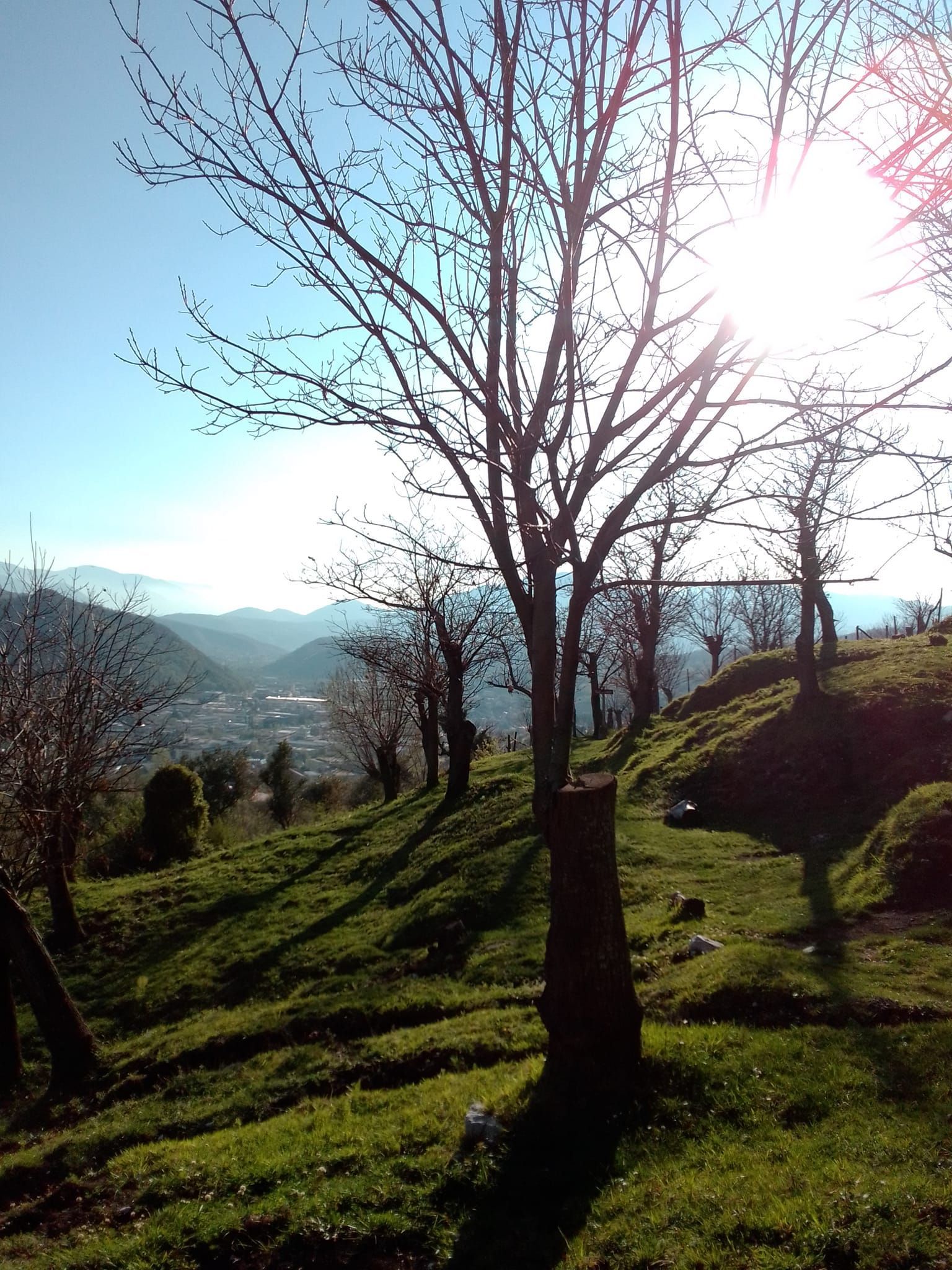 Tenda in castagneto