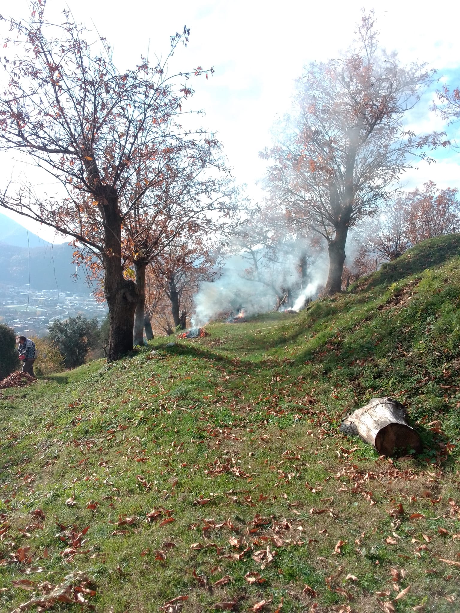 Tenda in castagneto