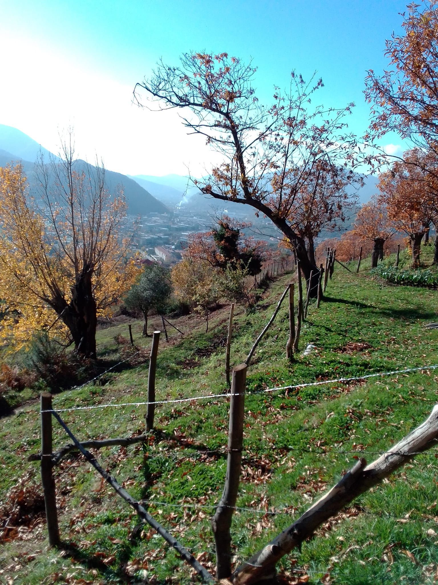 Tenda in castagneto