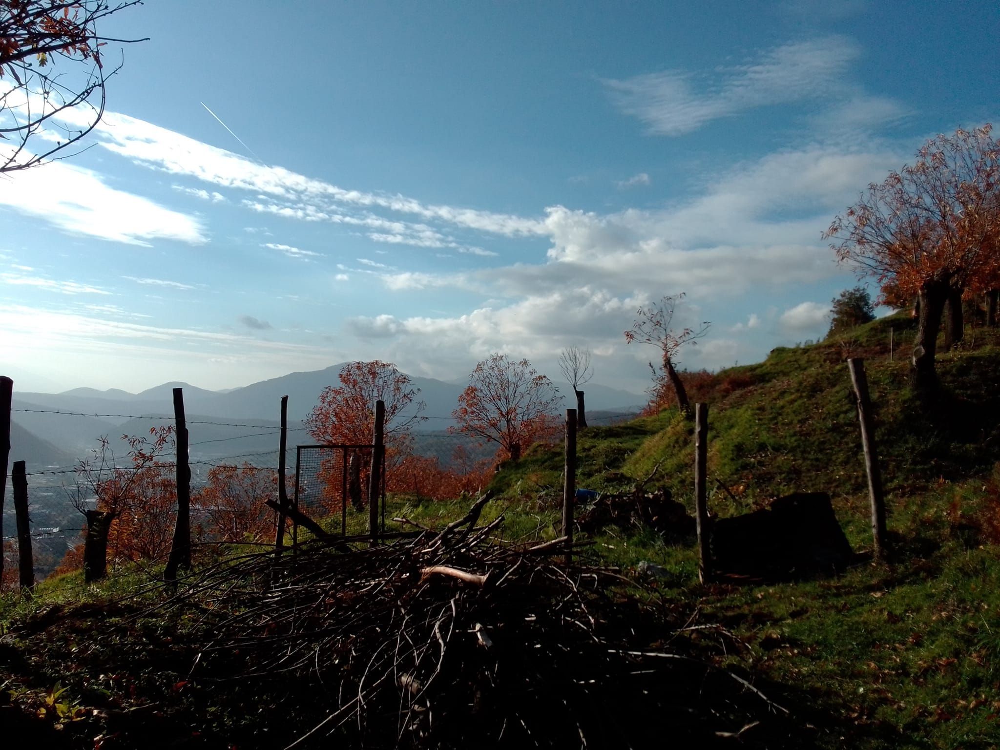 Tenda in castagneto
