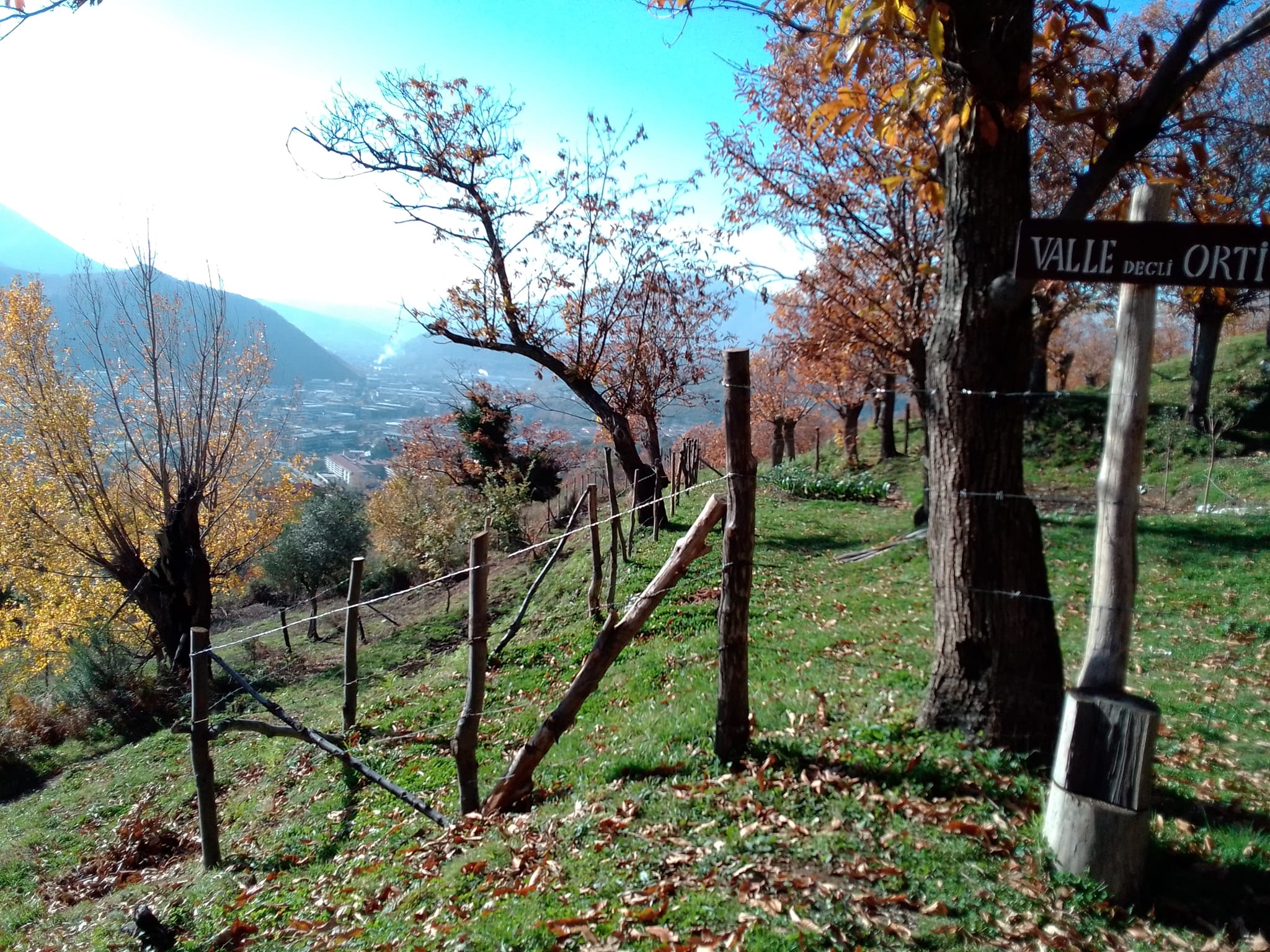 Tenda in castagneto