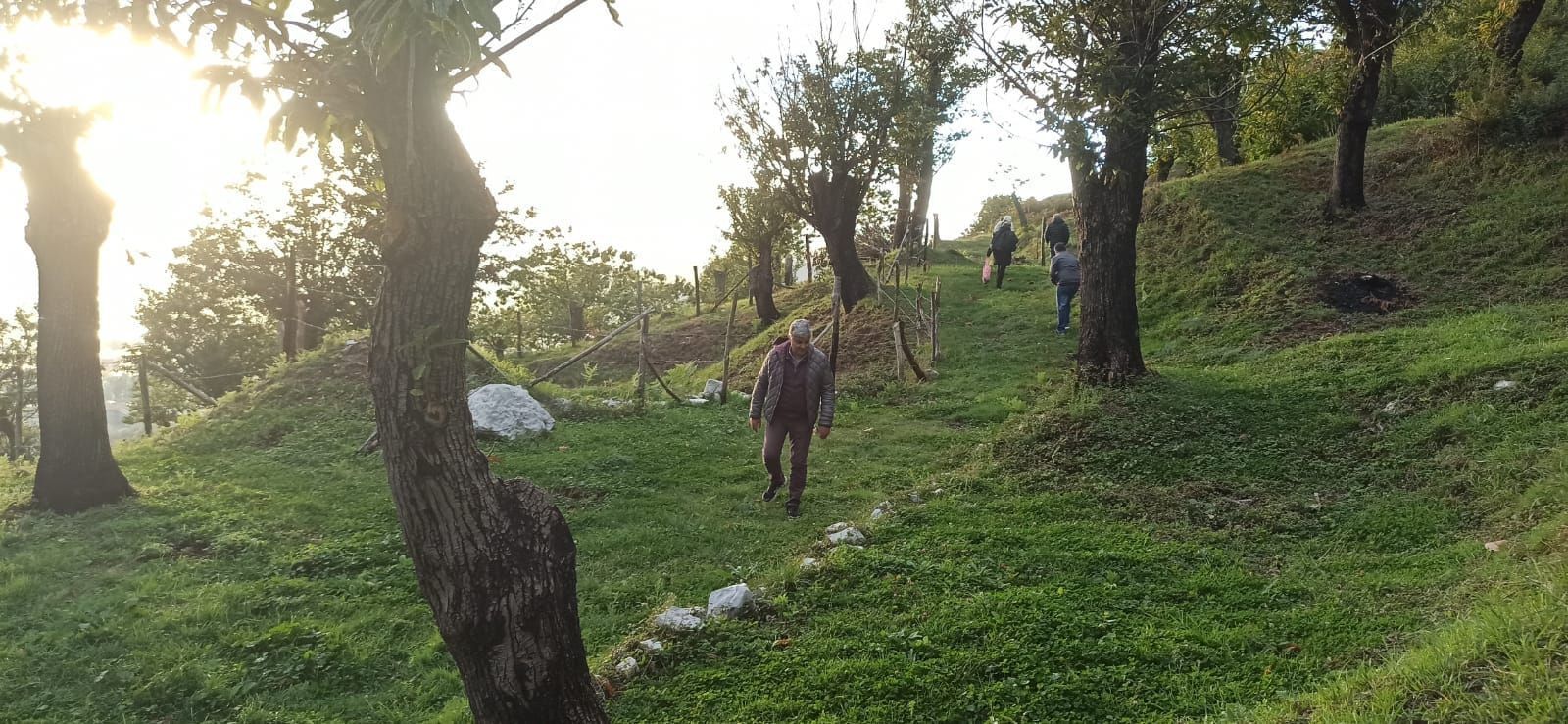 Tenda in castagneto