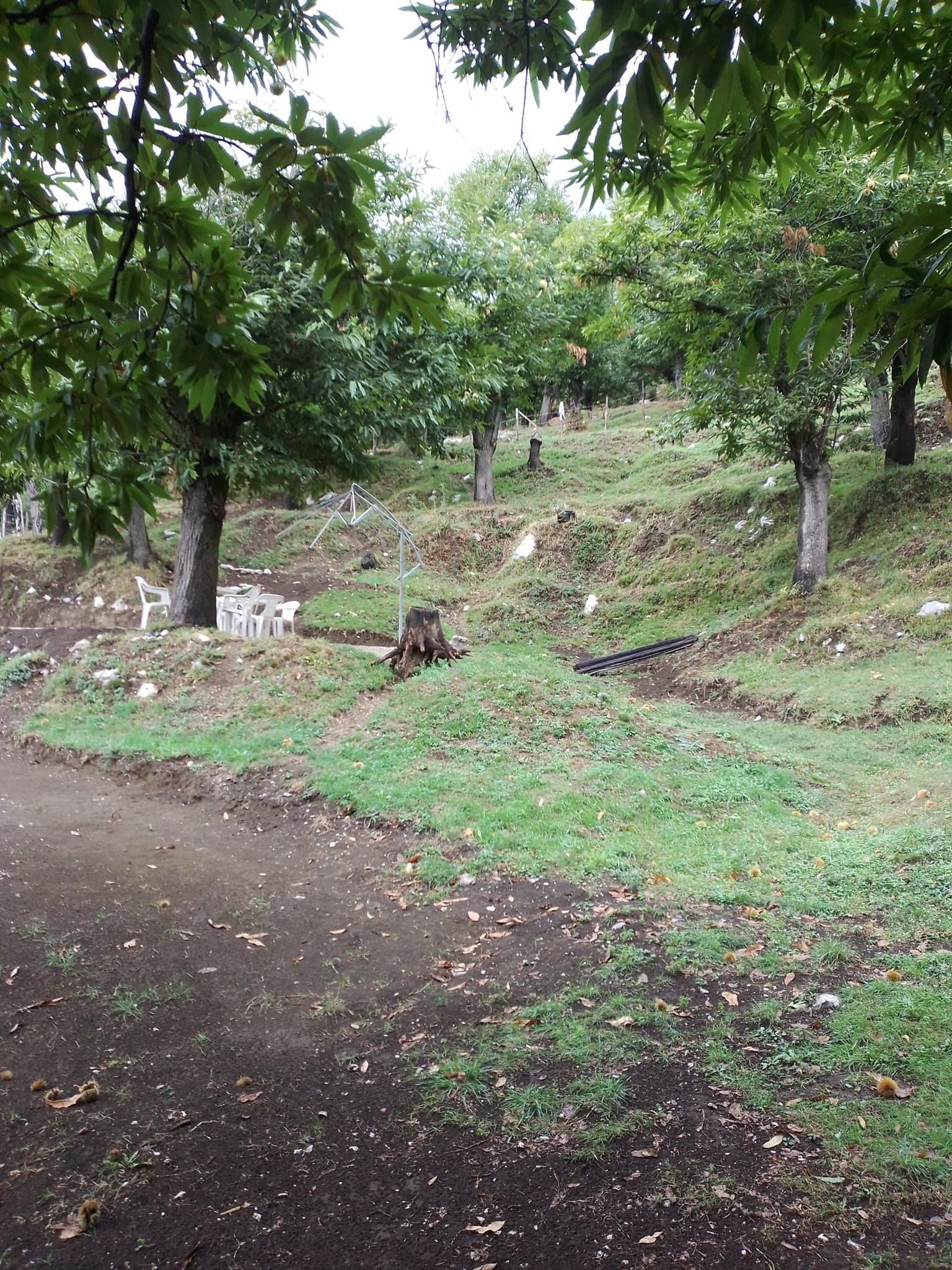 Tenda in castagneto