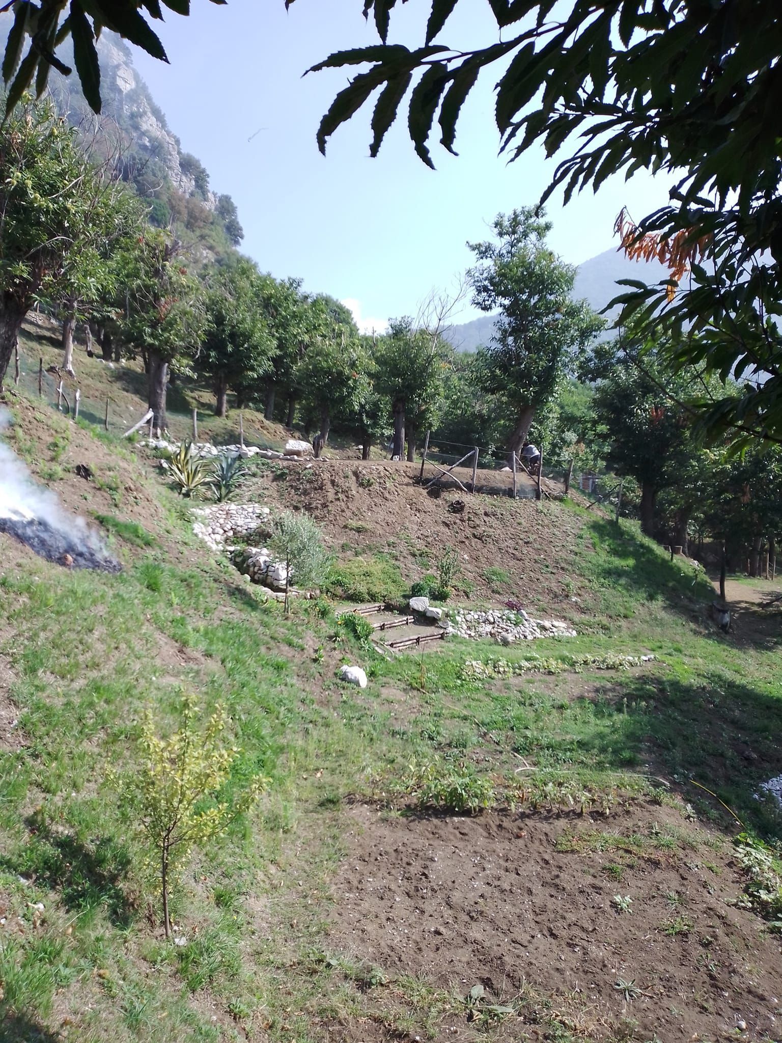 Tenda in castagneto