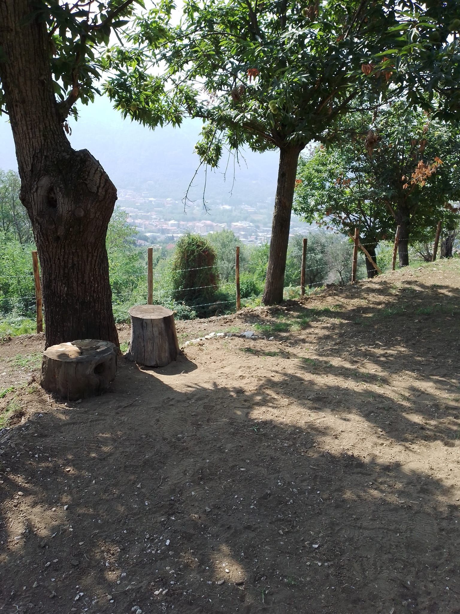 Tenda in castagneto