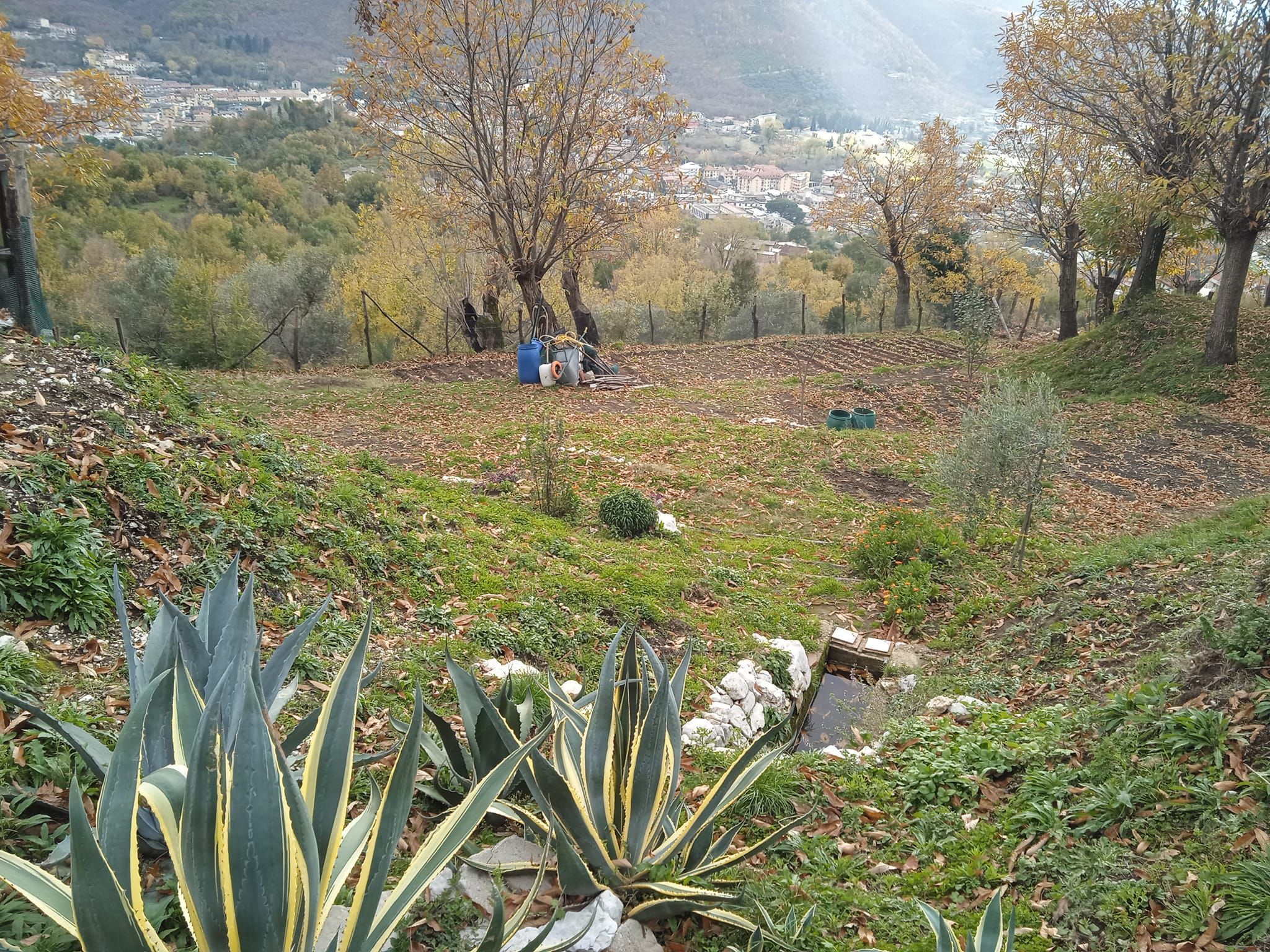 Tenda in castagneto