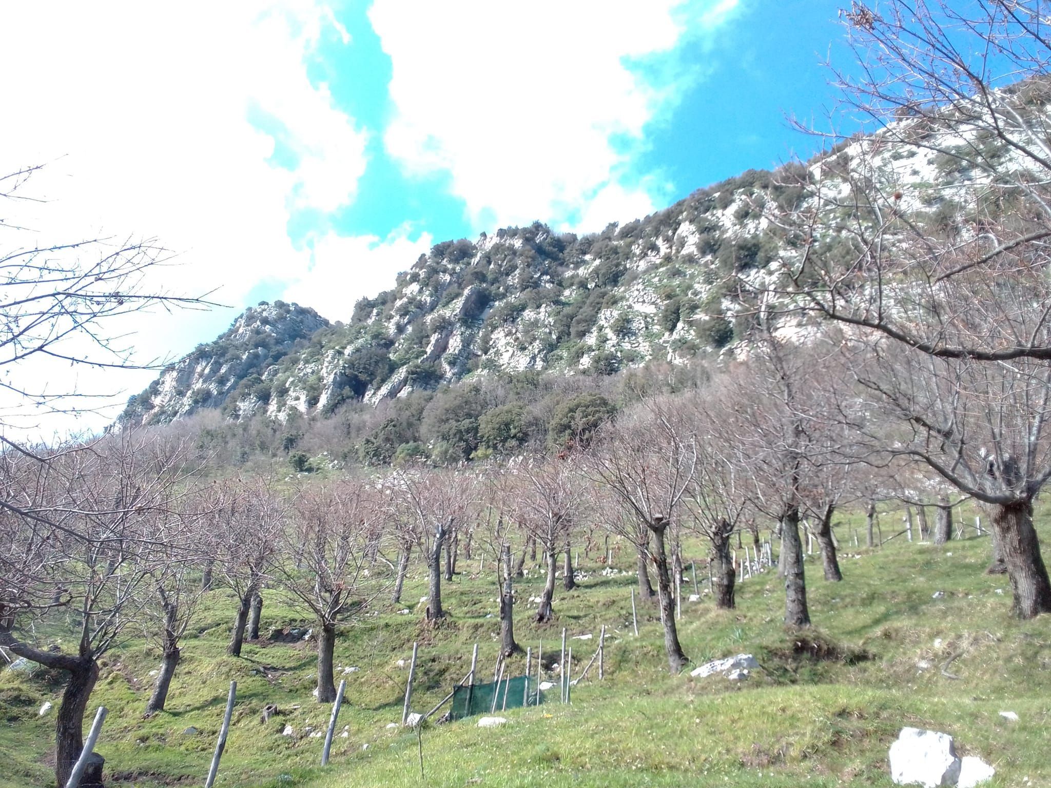 Tenda in castagneto