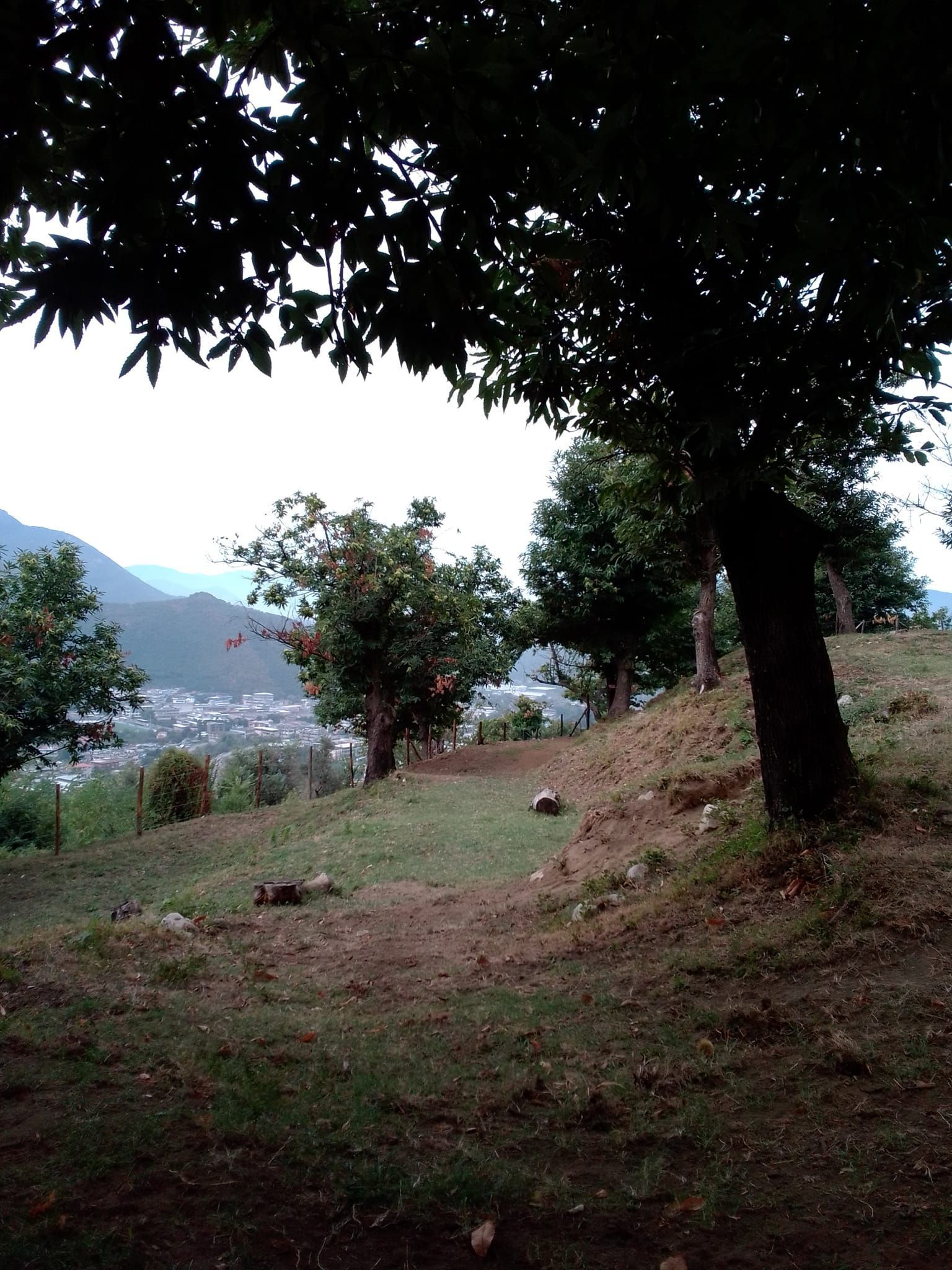 Tenda in castagneto