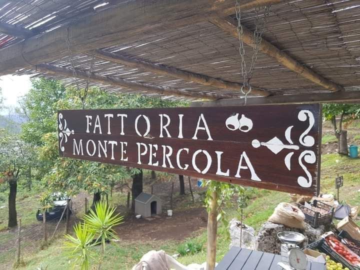 Tenda in castagneto