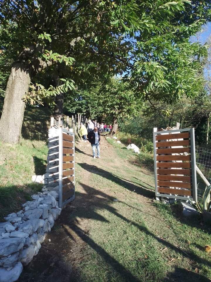 Tenda in castagneto