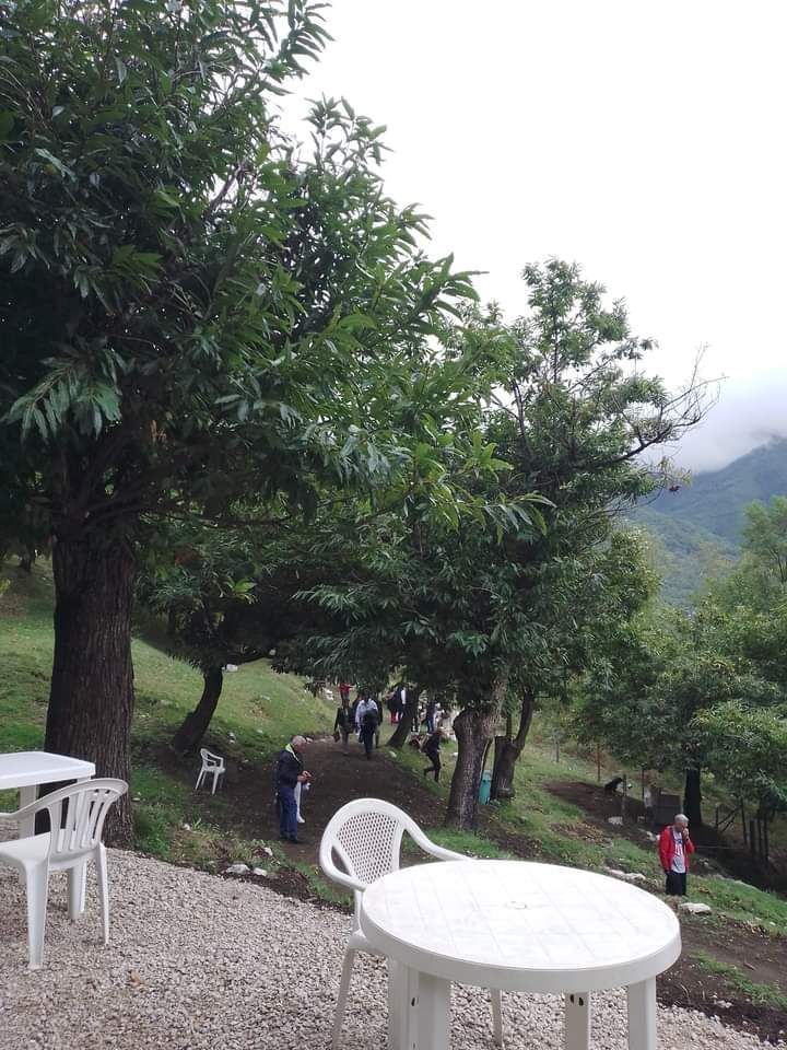 Tenda in castagneto