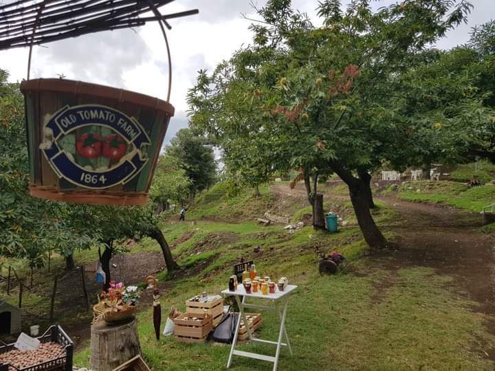 Tenda in castagneto