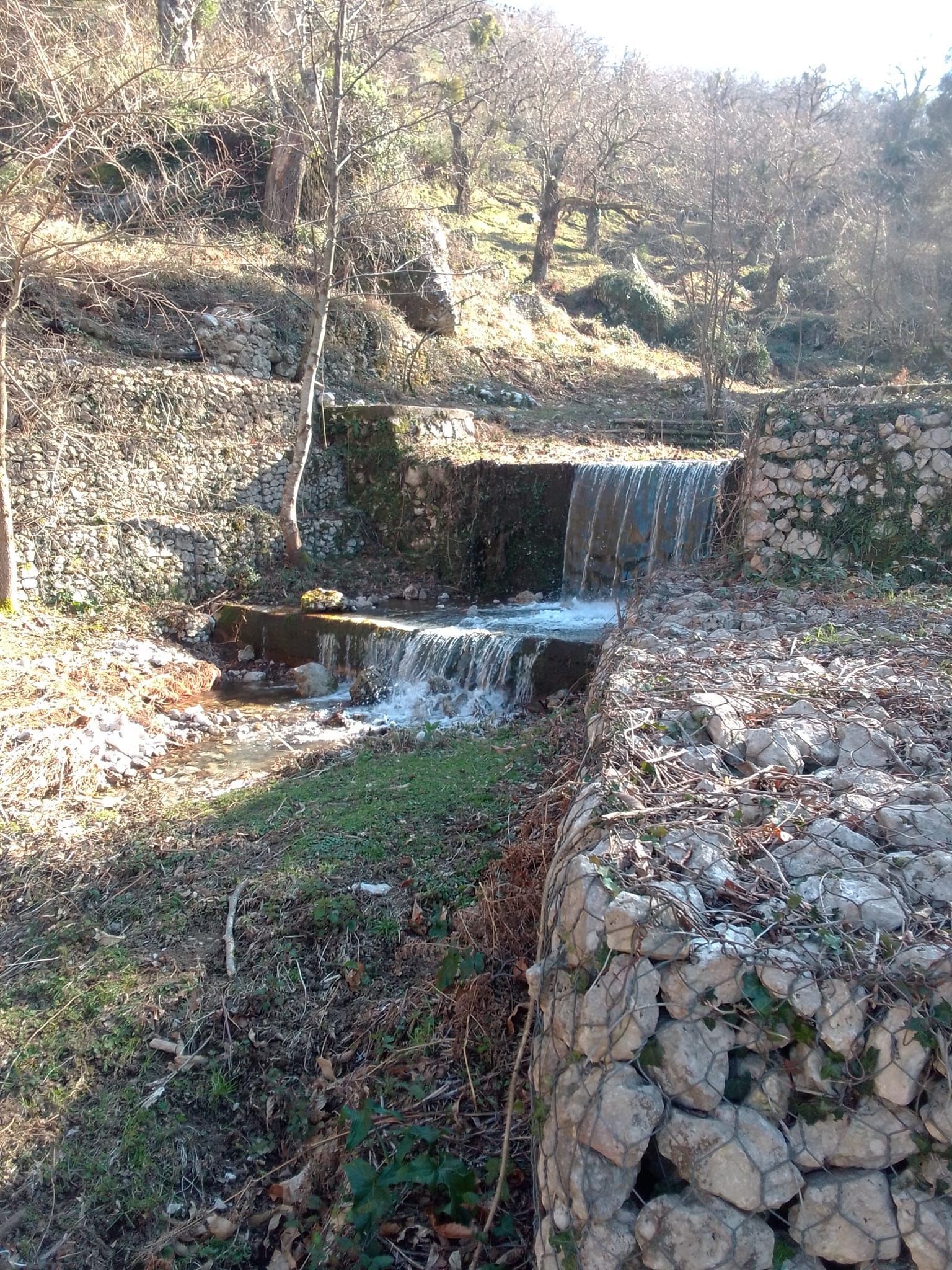 Tenda in castagneto