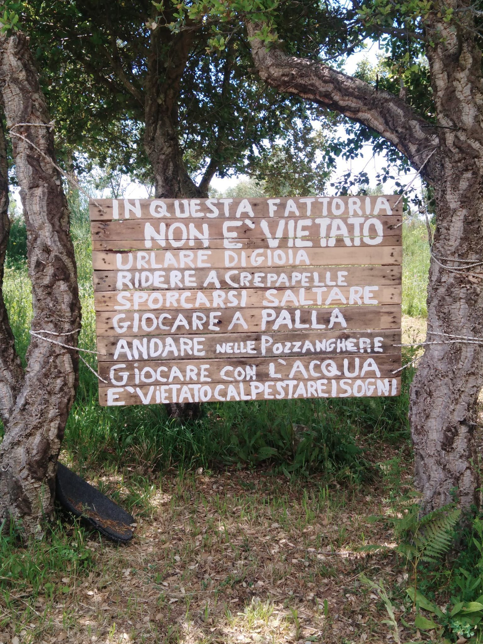 Tenda pronta nella Calabria incontaminata