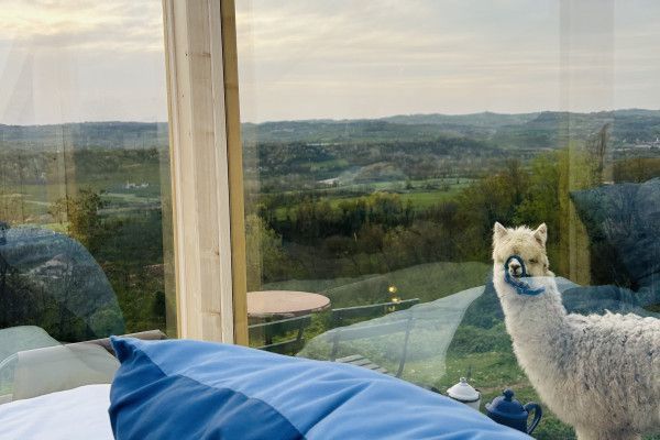 Glamping nelle Langhe nella skyroom per vedere le stelle