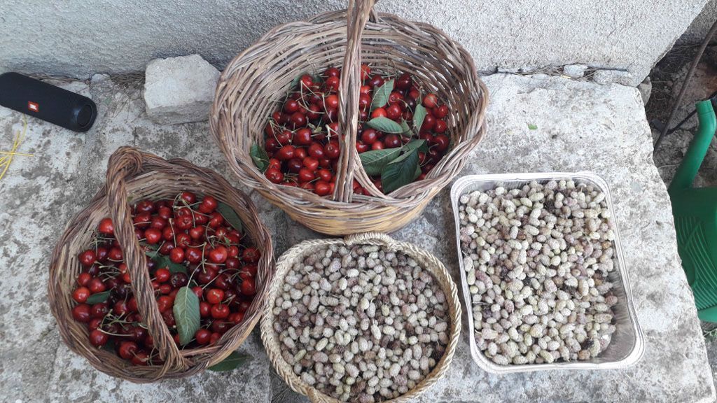 Piazzola in giardino recintato nel cuore della Sicilia tra Campofiorito e Corleone