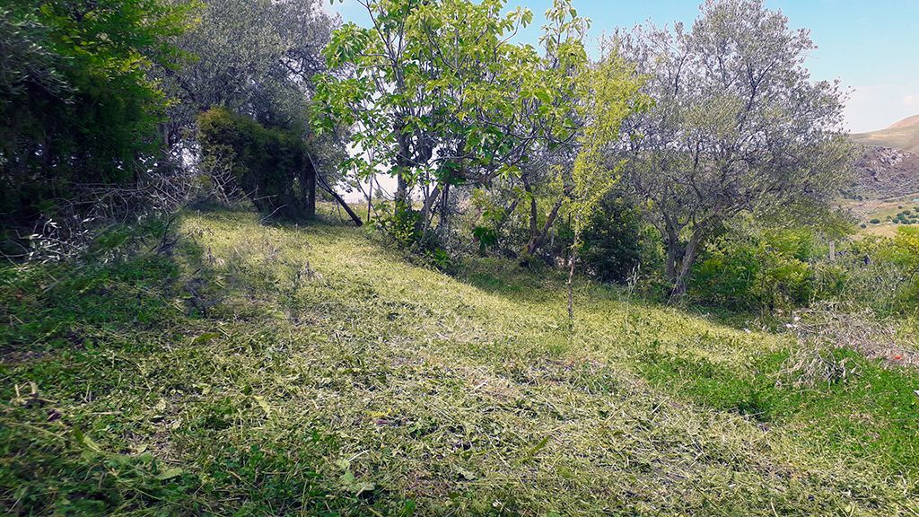 Piazzola in giardino recintato nel cuore della Sicilia tra Campofiorito e Corleone