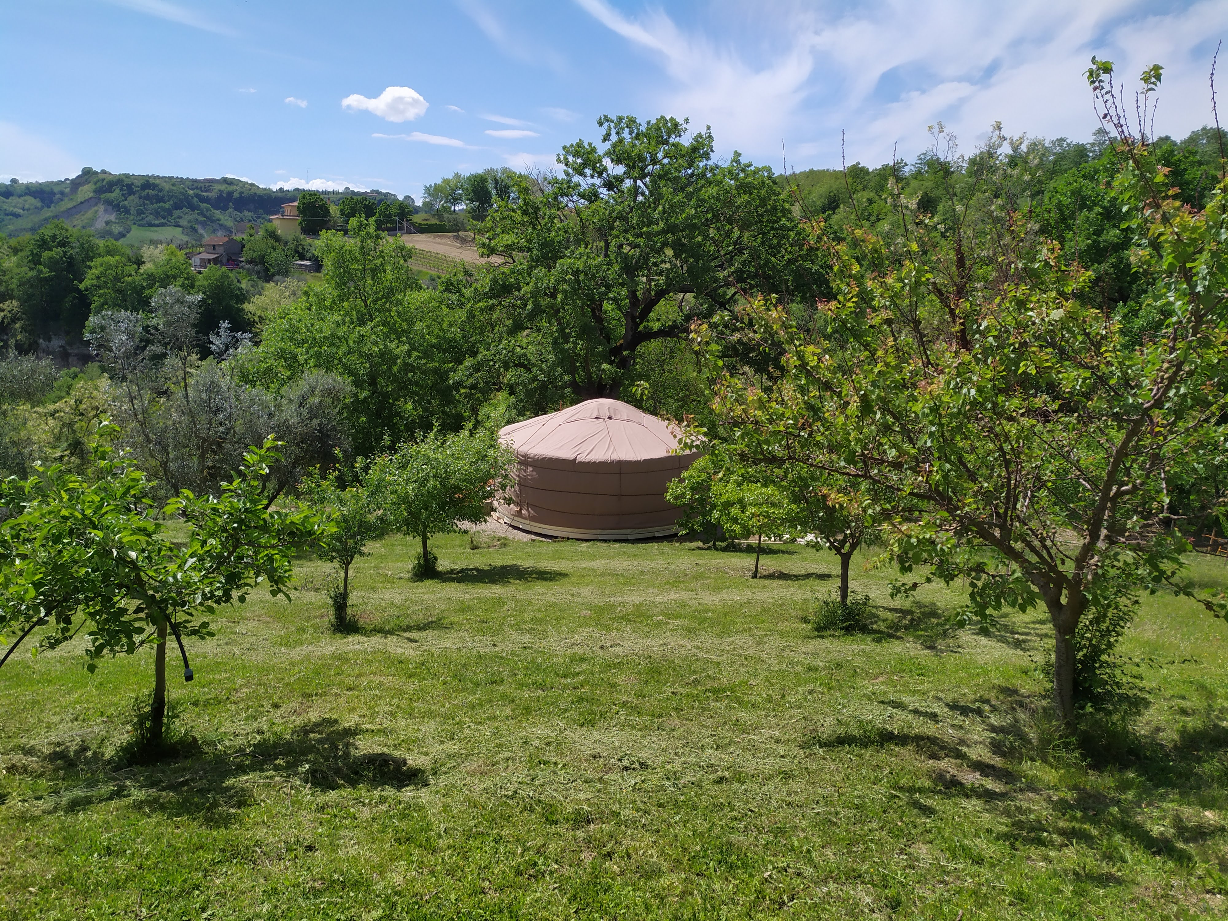 Yurta al Poggio Artilla: un soggiorno nel cuore della Tuscia